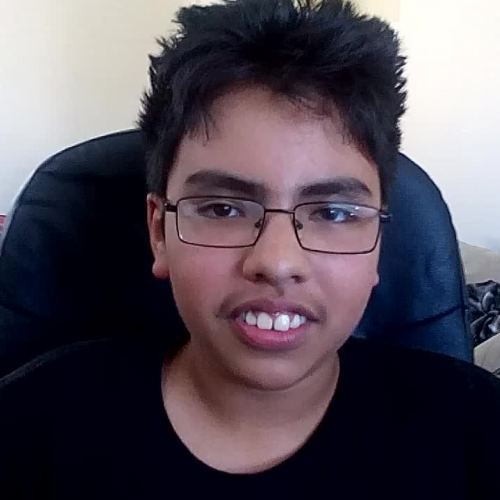 03.02 Describe the Family Visual Presentation