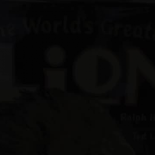The World&#8217;s Greatest Lion