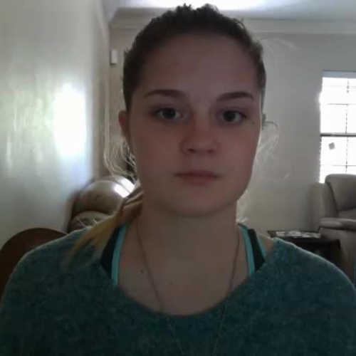 03.02 Describe the Family Visual Presentation