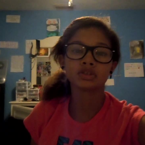 03.02 Describe the family visual presentation