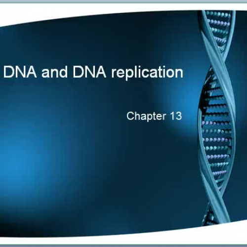 Dna structure and replication