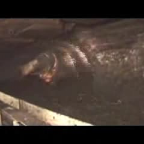 How do we mine coal - Underground processes