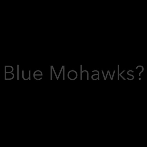 RBEF Annual Donor Drive Blue Mohawk
