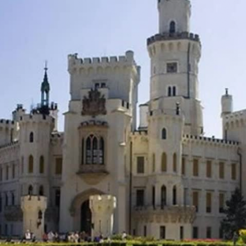 BCF RED 3006 Courtyard Castle, Body Systems