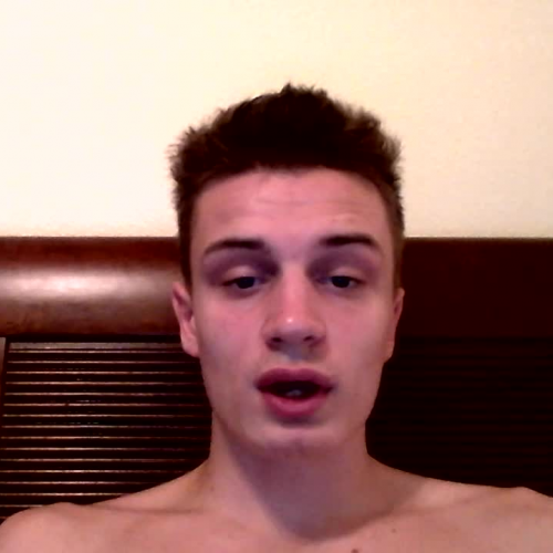 03.02 Describe the Family Visual Presentation