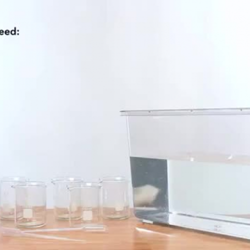 Aquarium Demo 2