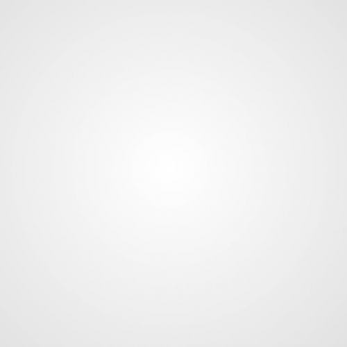 BerrienRESA_Animation