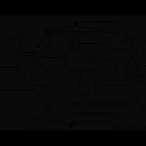 Online movie for class