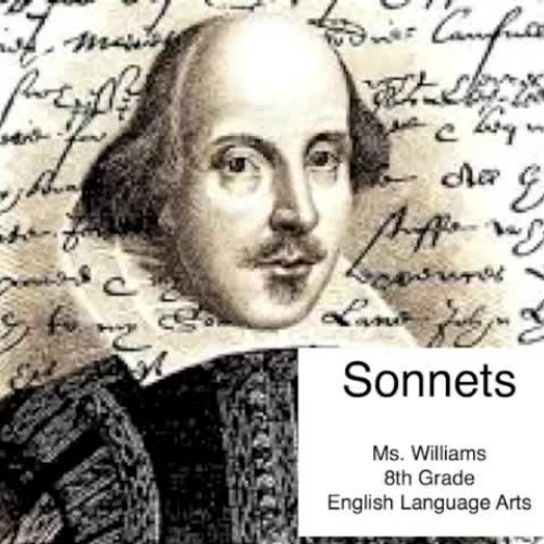 Sonnets: The Basic Information