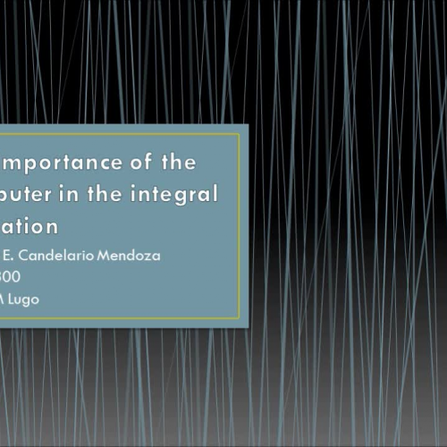 The importance of the computer in the system 