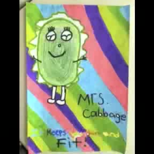 Cabbage4