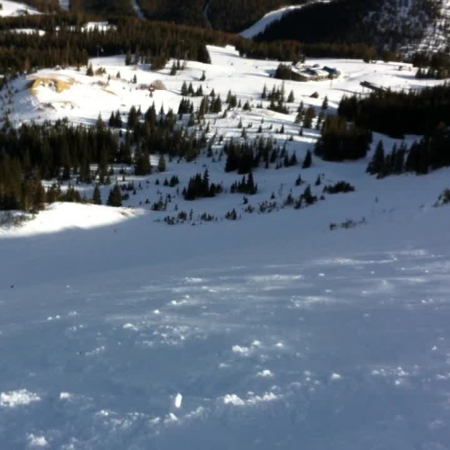 Breck Whales Tail Bowl