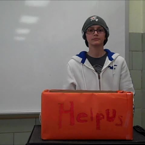 Tolerance Team Helps Abused Animals