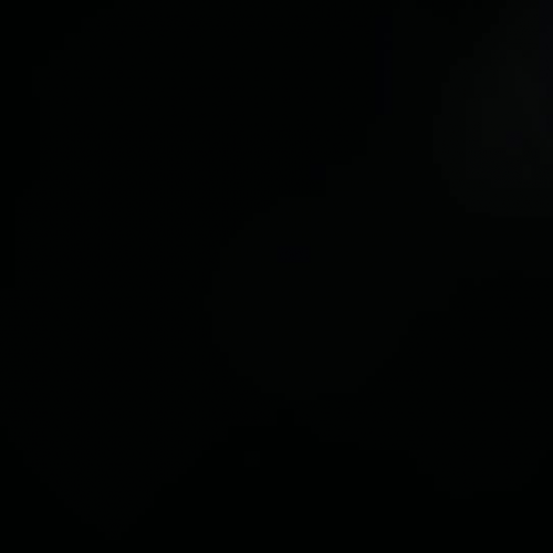 Endangered Arctic Wolves