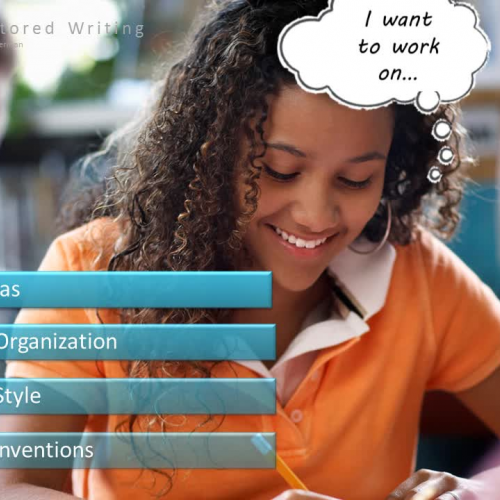 mentoredwritingoverview