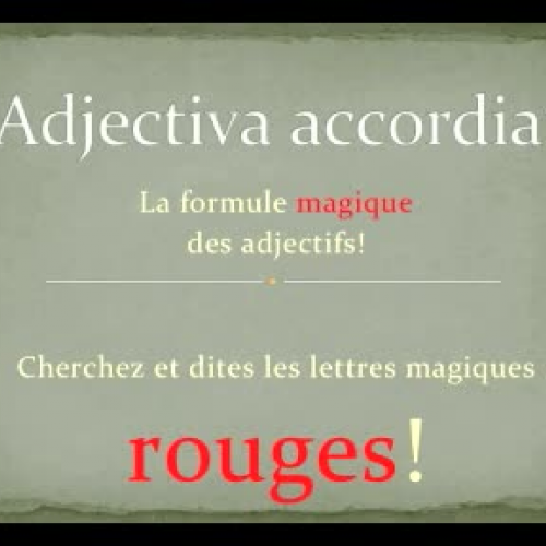 Comment est-il? Les adjectifs avec Harry Pott