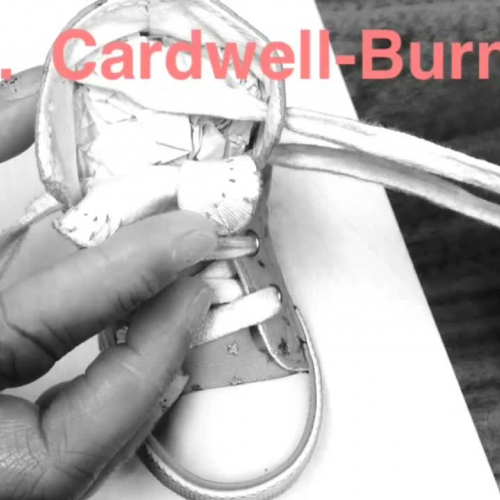 trim.BB146104-5211-45AF-A30A-D4A39D27A77F