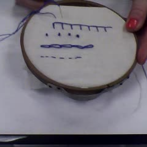 Embroidery: Back Stitch and Lazy Daisy 