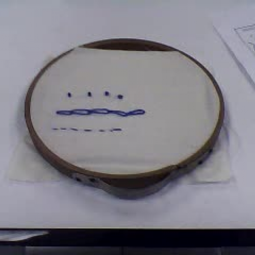 Blanket Stitch(3-31-2014 8-15 AM)