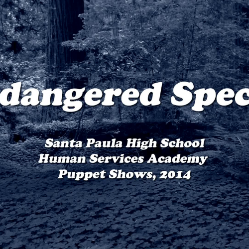 Endangered Species Puppet Show (2014): Santa 