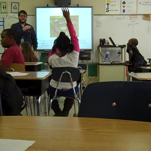 Garcia-Beginning of MIP