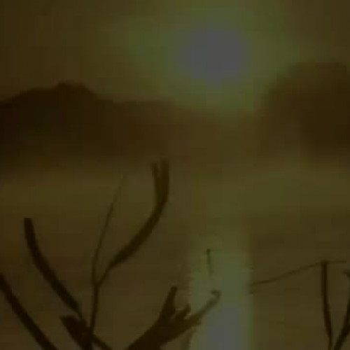 From Dreams to Reality - Kissimmee River Rest