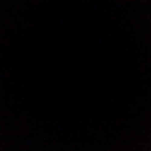 Did Frederick Douglas do Enough to End Slaver