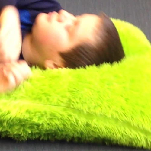 The Unusually Clever Dog Reader’s Theat