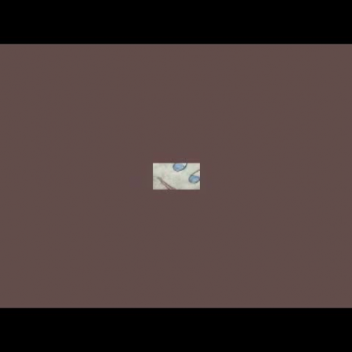 MLemonCIMT543videospring2014