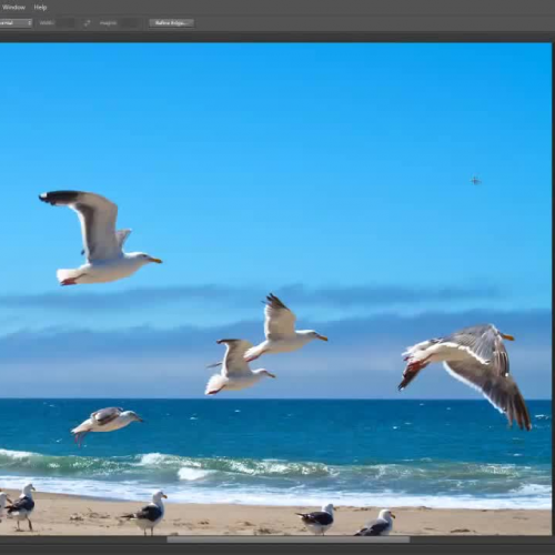 Removing Objects from Images with Photoshop C