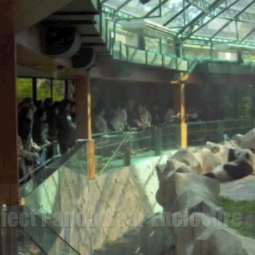 Perfect Panda Enclosure