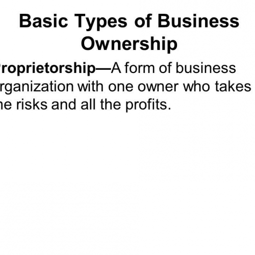 Economics: Types of Businesses