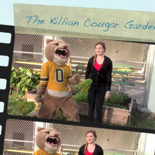 Miami Killian Fairchild Garden 7