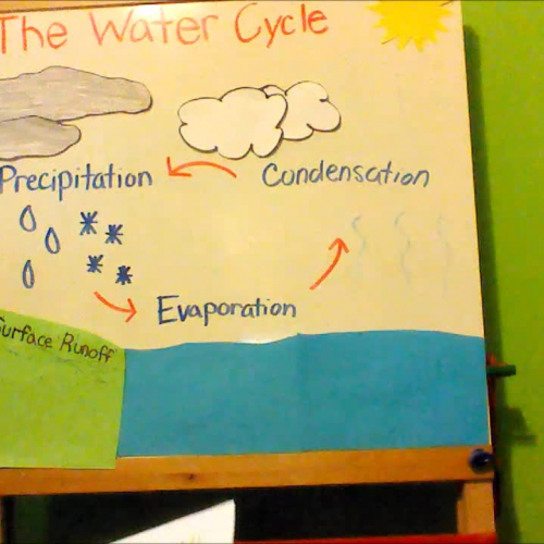the water cycle