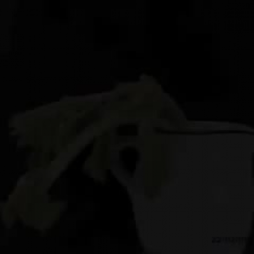 Turgor Pressure in Celery stalks