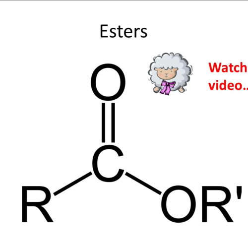 05 - Organic Chem - Esters