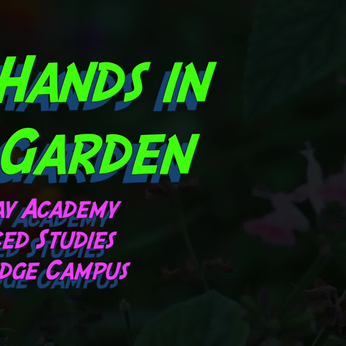 Fairchild Challenge: All Hands in the Garden