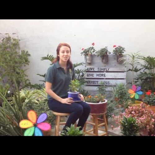 Reagan Doral High School Fairchild challenge 