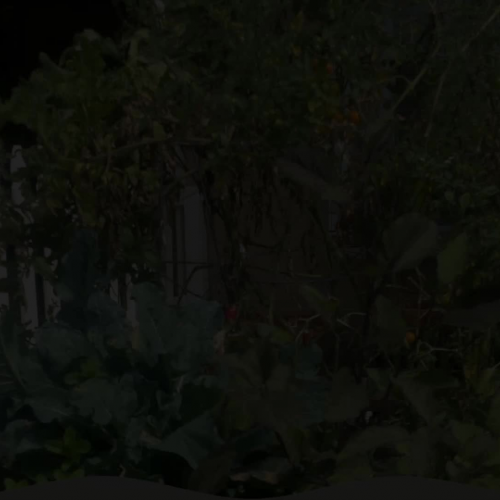 Gulliver Garden Video