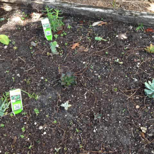 Fairchild Video- Challenge 9- DMW COPE