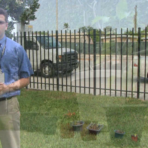 Garden video challenge #9