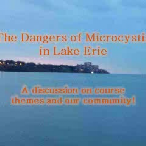 Lake Erie Ecology Discussion