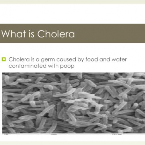 Public Service Announcement Cholera