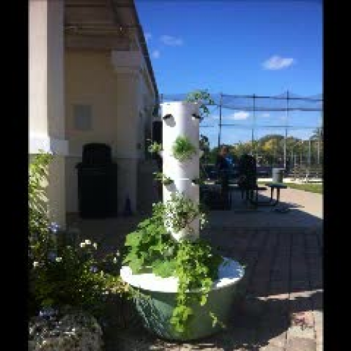 Garden Projecttttttt