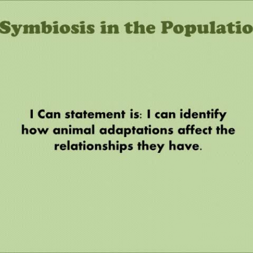 Symbiosis video