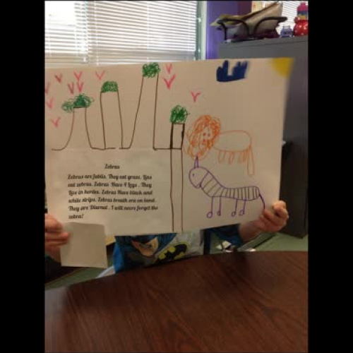 First Grade Zebra Report
