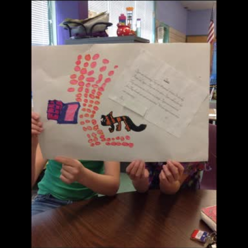 First Grade Tiger report