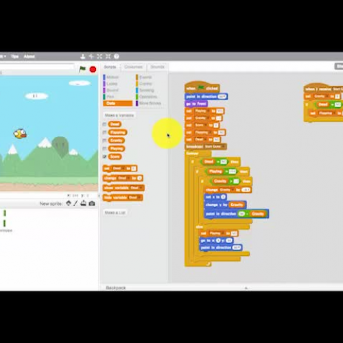 BBstep Running the Flap