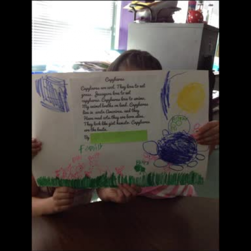 First Grade Capybara Report