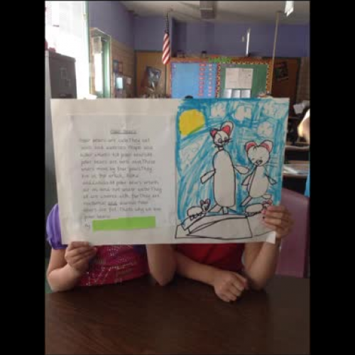 First Grade Polar Bear Report